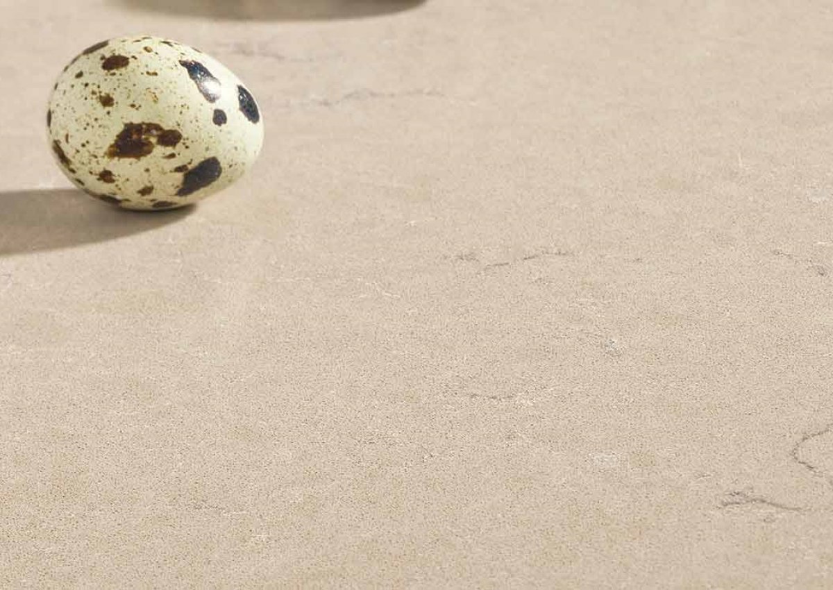 3333 Boletus Seta Mutfak Tezgahı